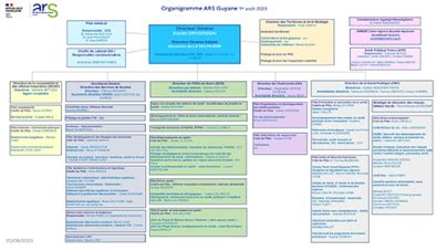 intranet ctg guyane|Organigramme de l' ARS Guyane .